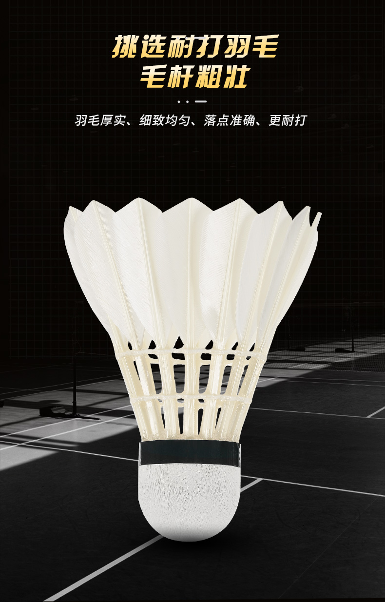 New 12PCS Professional Badmint - Badminton Bwf 评论和价格