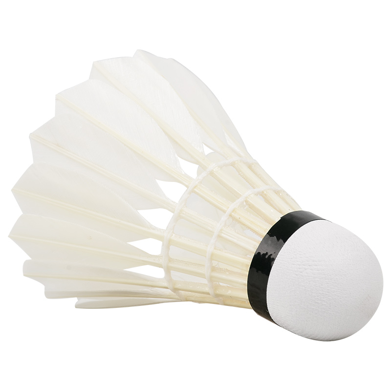 New 12PCS Professional Badmint - Badminton Bwf 评论和价格