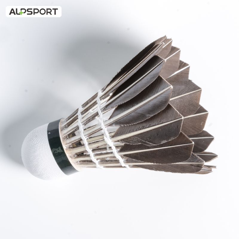 ALP 806 Badminton Shuttlecocks - Badminton Bwf 评论和价格