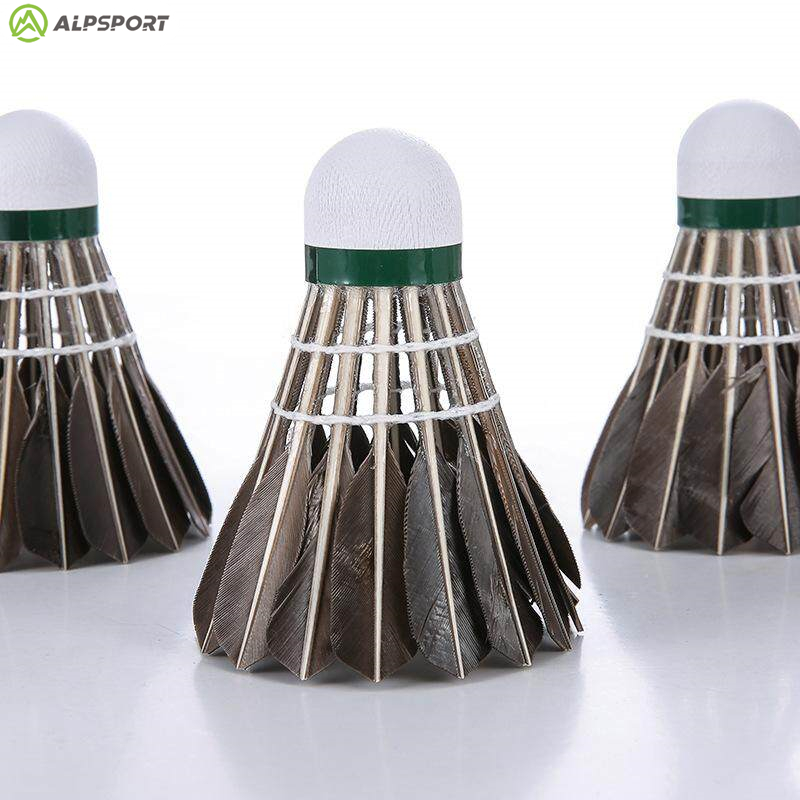 ALP 806 Badminton Shuttlecocks - Badminton Bwf 评论和价格