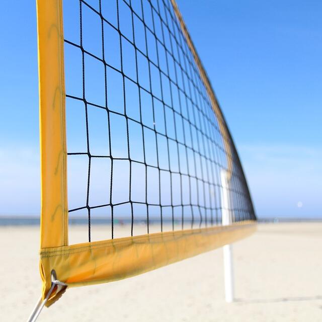 Multi-Purpose Knotted Sports N - Badminton Ina 评论和价格