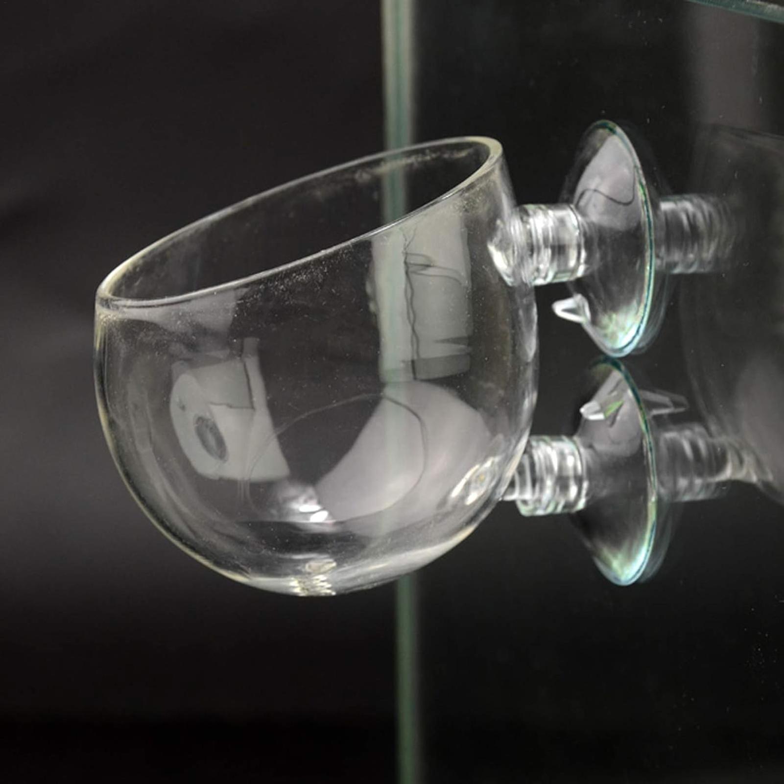 Aquarium Plant Holder Glass Aq - Badminton Live 评论和价格
