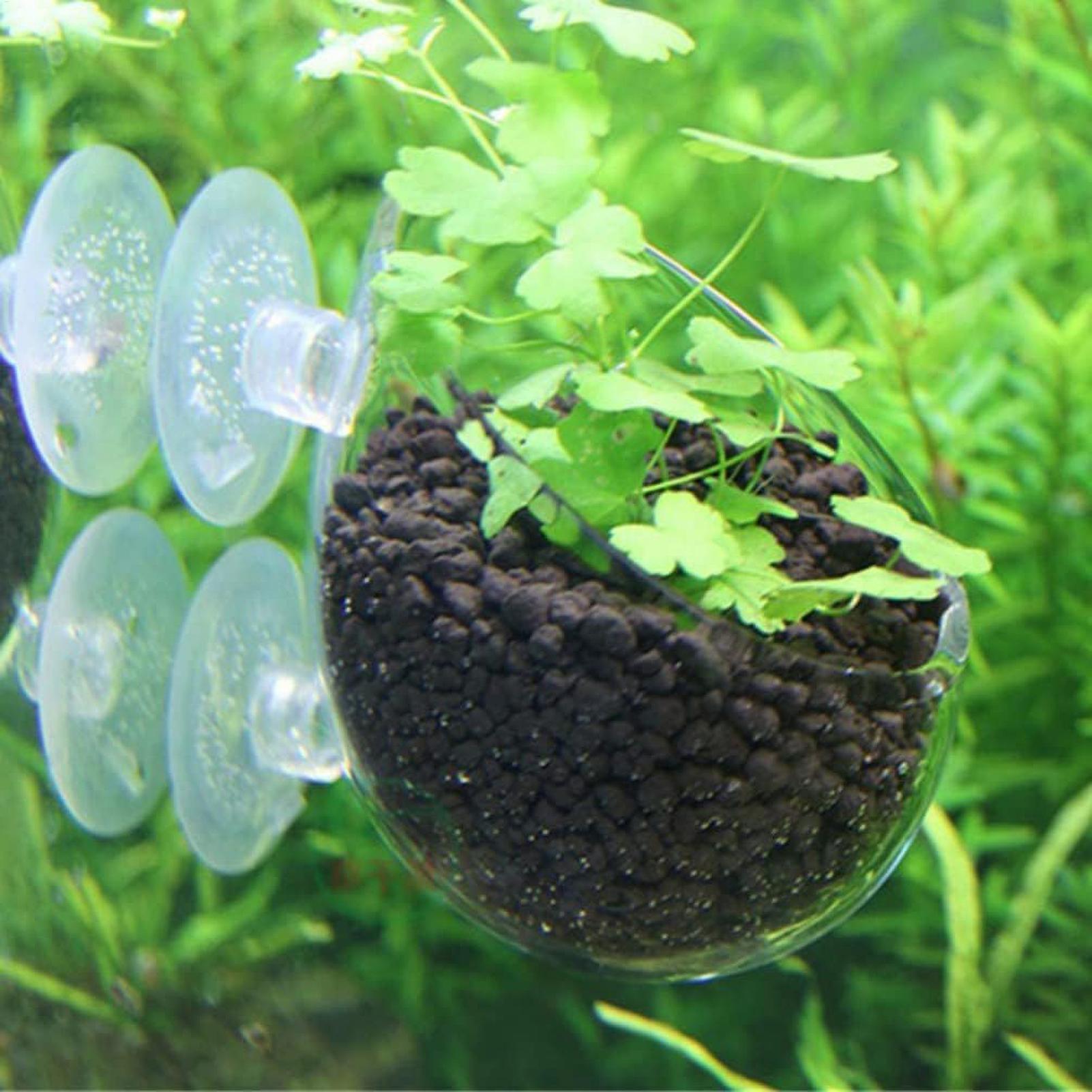 Aquarium Plant Holder Glass Aq - Badminton Live 评论和价格
