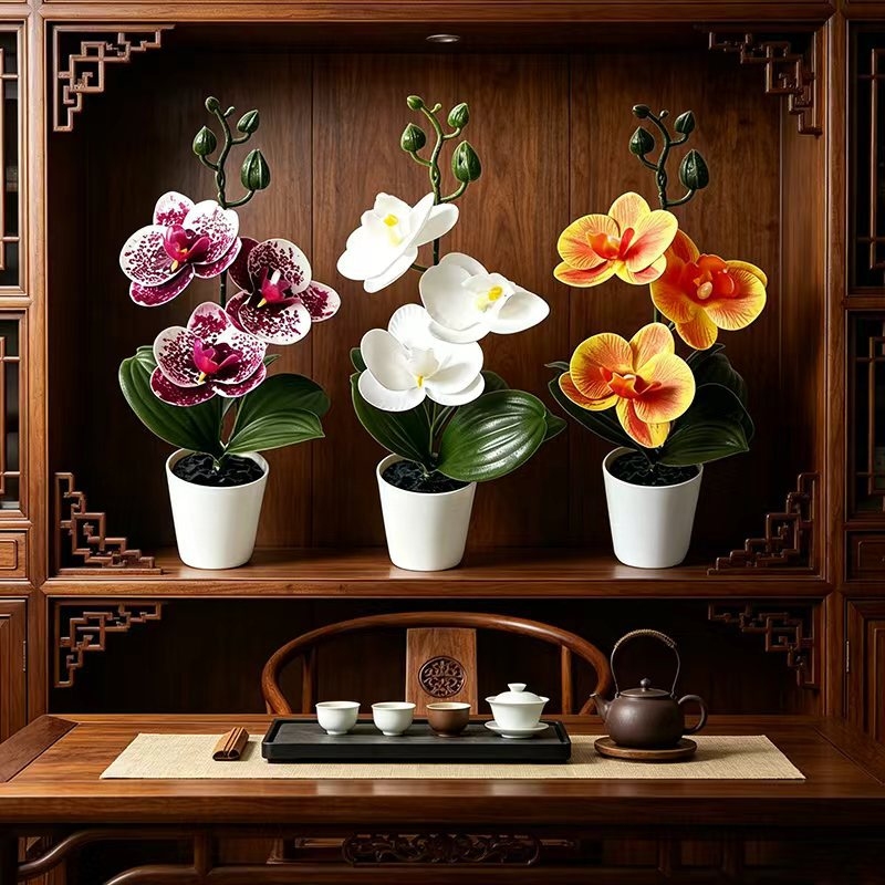 Mini Butterfly Orchid Potted P - Badminton Live 评论和价格