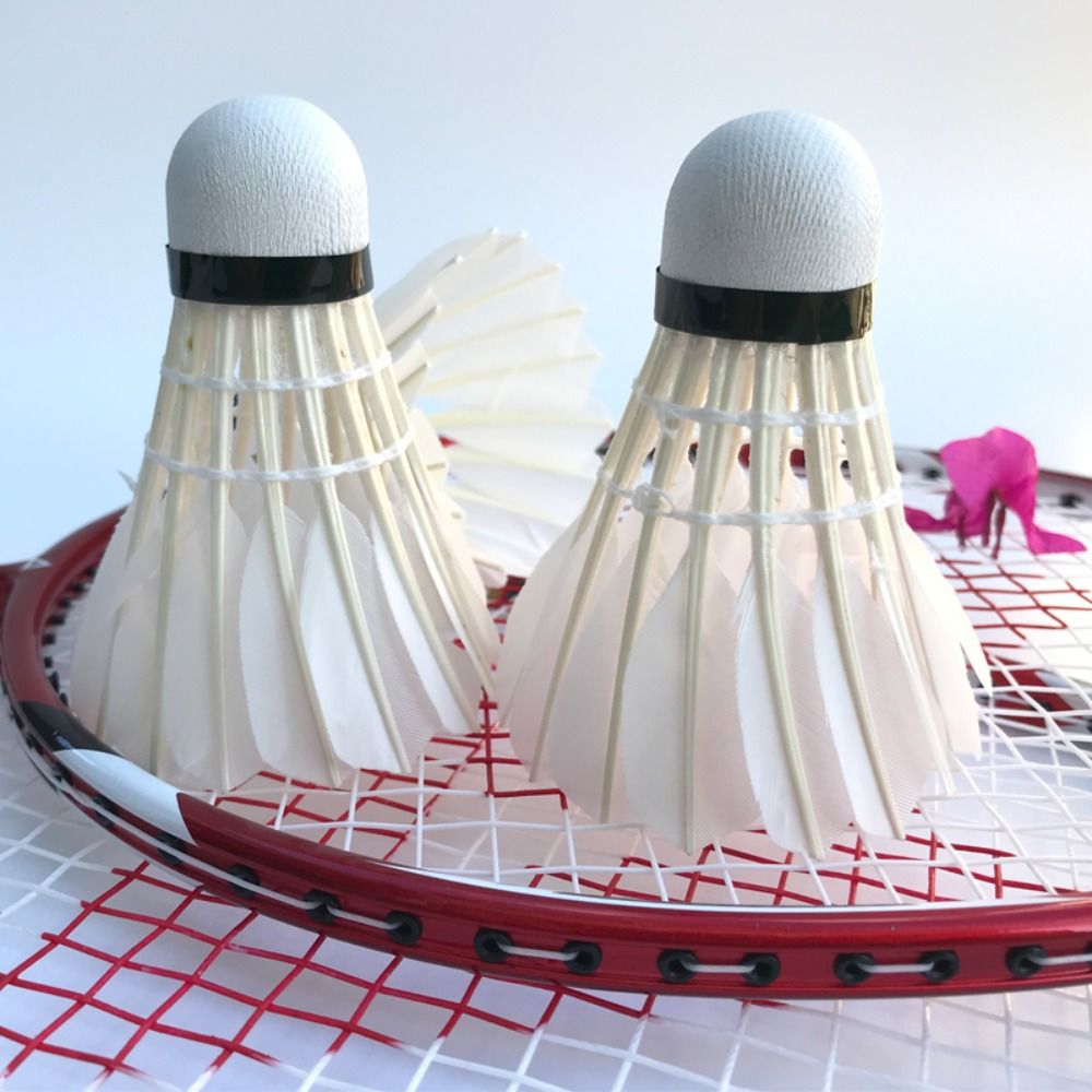 3/6/12Pcs New White Badminton  - Badminton Bwf 评论和价格